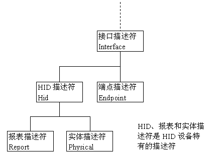 HID描述符的关联关系